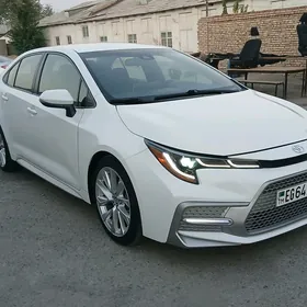 Toyota Corolla 2020