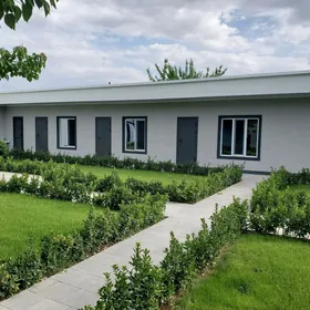 Ayna Gapy   AMATLY ️ ️