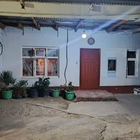 hytrowka kwartyra bar