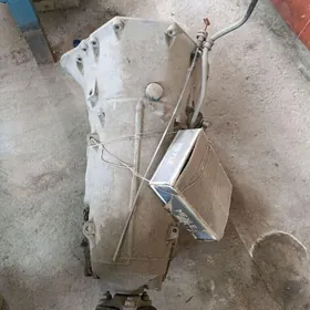 W203 karopka 5 skors