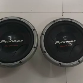 Pioneer 1000W
