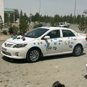 Toyota Corolla 2010