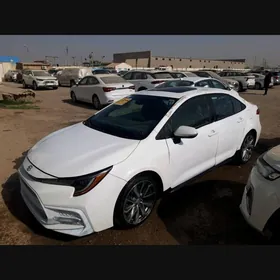 Toyota Corolla 2022