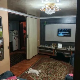 3 комнатная 1 этаж