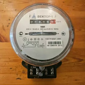 Счётчик ВЕКТОР-1