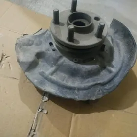 Carine e stupise sag tarap