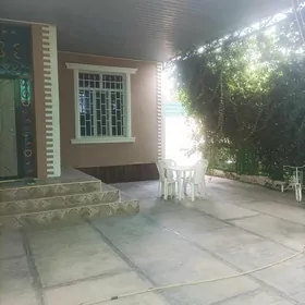 Satlyk Anew Magtymguly kotej