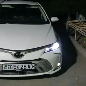 Toyota Corolla 2020
