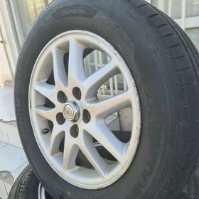 Babycga Grant R16