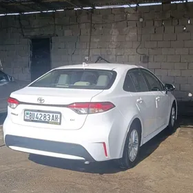 Toyota Corolla 2022