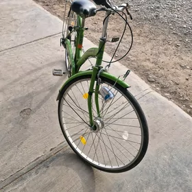 tigir welosepet 27 lik