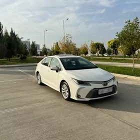 Toyota Corolla 2024