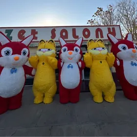 Misga  panda Pisik