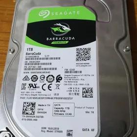 terabayt içi kinoly