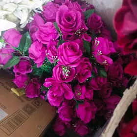 satlyk toy harytlary