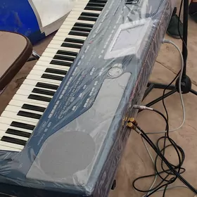 Korg pa800