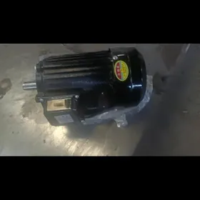 elektromotor elektrodwigatel