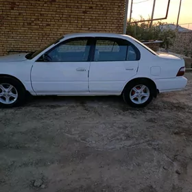 Toyota Corolla 1996