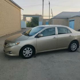 Toyota Corolla 2010