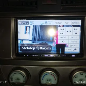 pioneer karuzeria TV