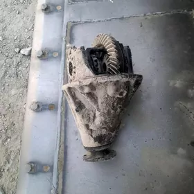 previya zapjas mator