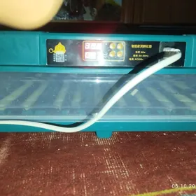 Inkibator