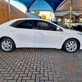 COROLLA  TURKEY R.16