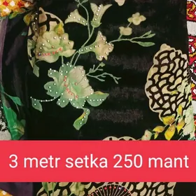 setka