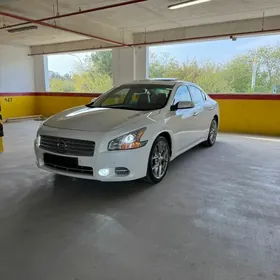 Nissan Maxima 2010