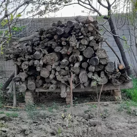 Töňňe Ýyly Täze