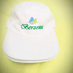 Мужская одежда