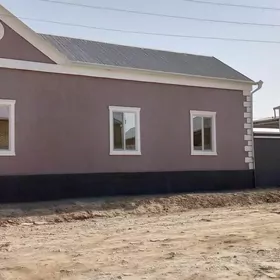 satlyk howly 65newtebaza 12sot