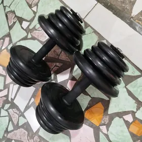 Gantel 10kg+10kg=20kg