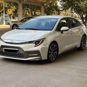 Toyota Corolla 2020