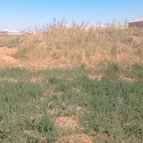 mellek ýer 12 sot