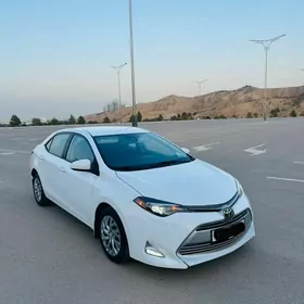 Toyota Corolla 2018