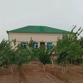 SATLYK JAŸ ALTYN SÂHRA