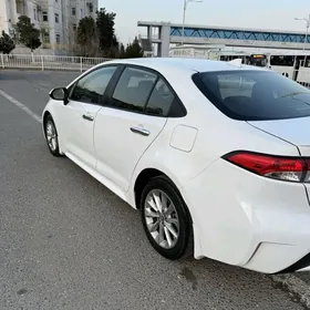 Toyota Corolla 2021