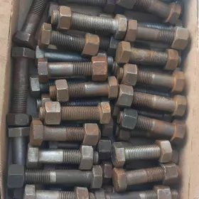 Bolt gayka