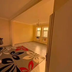 coganly arkac kotej jay