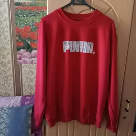 Кофта и рубашка