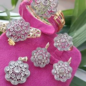 Buziterya yerewan gyzylyn 1:1