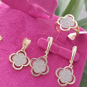 Buziterya Vanklif gyzyla kopya