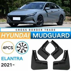 Brazgawik Elantra 21_25