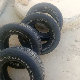 prado teker 275.65.17