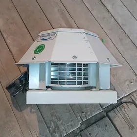 Howalandyrma  63562980