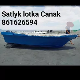 Lotka
