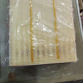 Pathfinder 2022 Howa filter