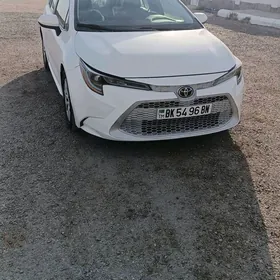 Toyota Corolla 2021