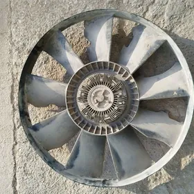 Man gidramufda  lopus